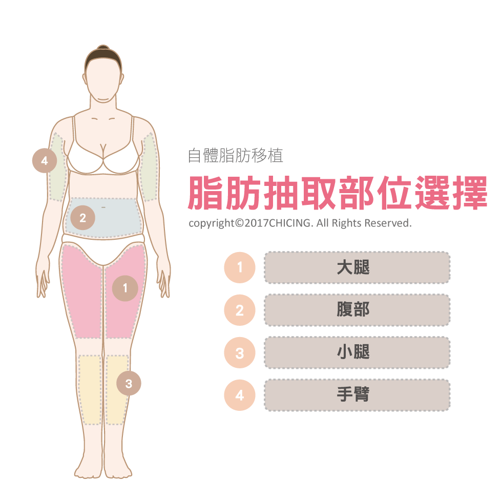 自體脂肪補脂