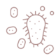 cells